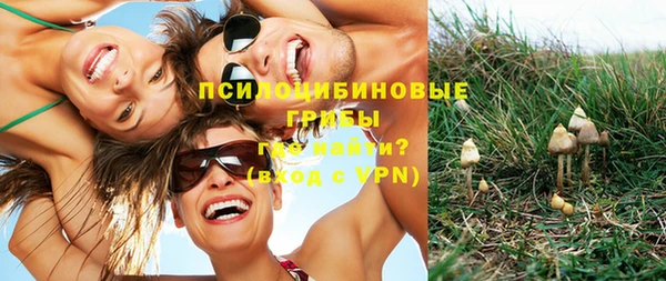 шишки Протвино