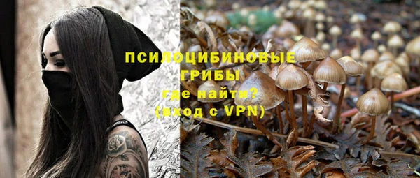 шишки Протвино