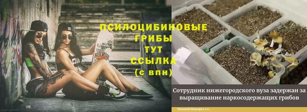 а пвп мука Абдулино