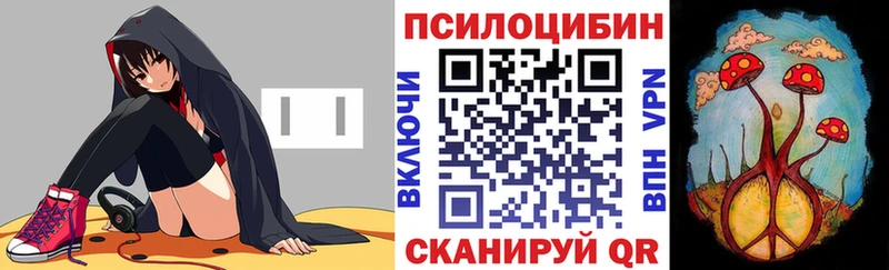 цены наркотик  Красный Сулин  Галлюциногенные грибы Magic Shrooms 